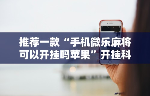 辅助开挂教程“海讯麻将有没挂?”详细开挂教程