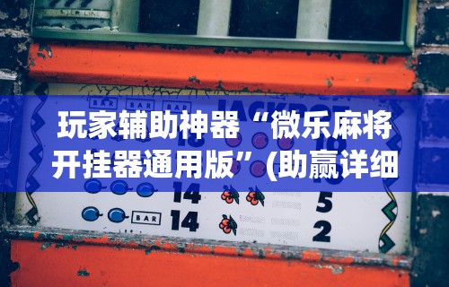最新一款“微乐麻将怎么提高胜率详细教程”附透视挂详细教程 