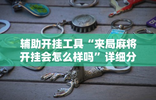 揭秘“四川麻将挂如何使用	”确实可以使用辅助