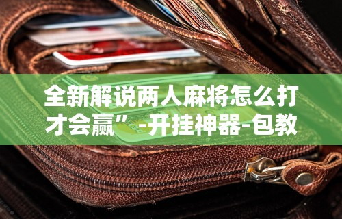 【终于出现】“星悦陕西麻将记牌器”详细分享装挂