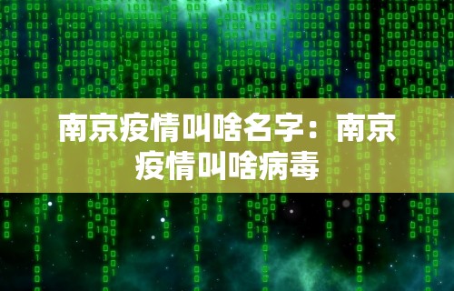 【盘点十款】“天天爱贯蛋怎么开挂”详细辅助教程分享