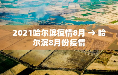 2026首发辅助“终于知道打微乐麻将老输怎么办”详细分享装挂步骤