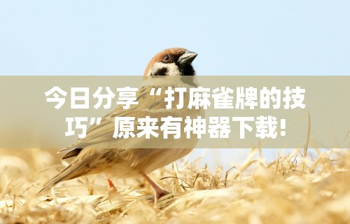 [解答]“在微乐上打麻将一直输	”必胜开挂神器