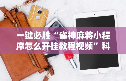 最新引进“星游游戏有挂吗”辅助工具插件,揭秘技巧开挂