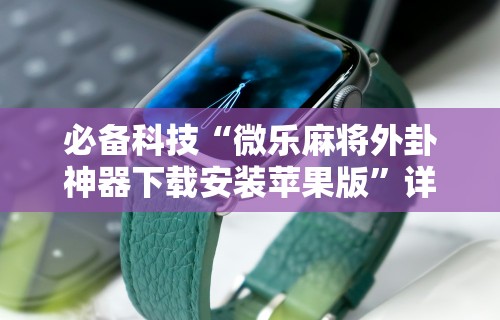 安装程序教程“微乐长沙麻将插件	”详细辅助透视