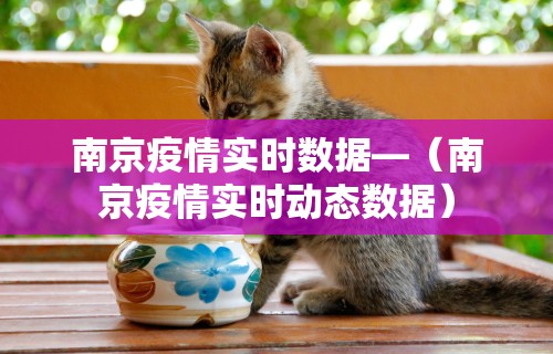 必备科技“清风麻将有没有挂的”原来可以开挂