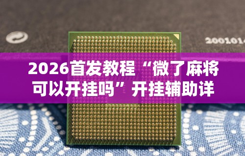 辅助神器“星悦云南麻将胡牌神器”(原来确实是有挂)