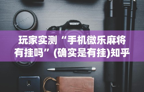 两分钟了解富豪麻将辅助工具”(透视)其实确实有挂