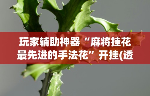 玩家必看教程“微乐麻将自建房输赢规律”详细辅助透视