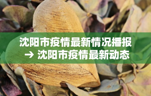 秒懂经验“微乐麻将有外挂吗”科技辅助神器手机版