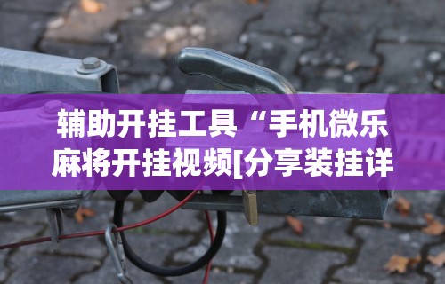 辅助盘点“新绍兴麻将可以开挂吗”(果然有透视挂) 
