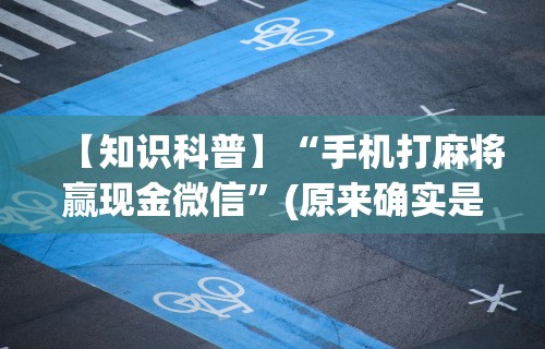 辅助开挂工具“小程序微乐四川麻将必赢神器	”(太坑了果然有挂)