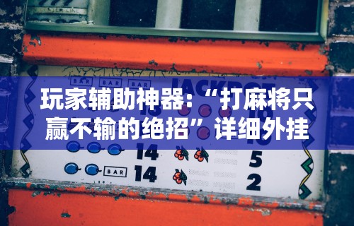 玩家必知“天天贵阳麻将可以开挂吗”作弊挂(辅助外挂+
