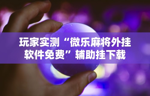 玩家必读“微乐海南麻将专用神器”详细开挂教程