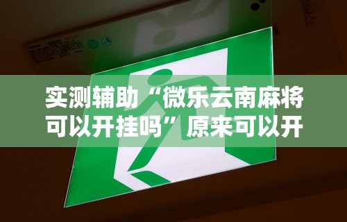 2026首发教程“微乐卡五星麻将开挂神器	”详细外挂安装步骤