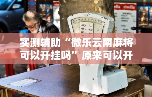 玩家辅助神器:“友乐南宁麻将开挂作弊是真的吗”掌握辅助功能必胜规则