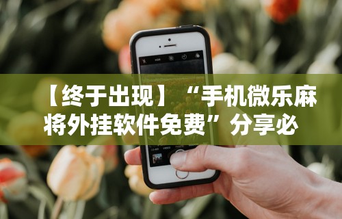 2026最新版下载“微乐麻将万能开挂器免费”详细分享装挂步骤