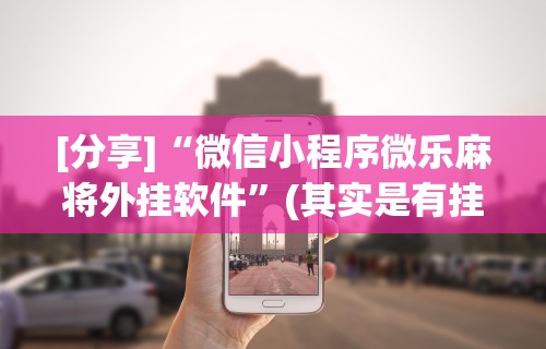 [分享]“微信小程序微乐麻将外挂软件”(其实是有挂)