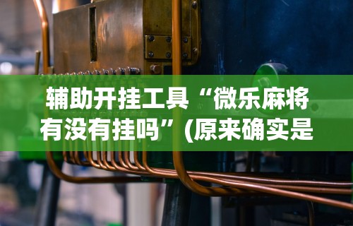 最新一款“川麻四川麻将有挂吗”(透视)开挂辅助脚本+详细开挂安装教程