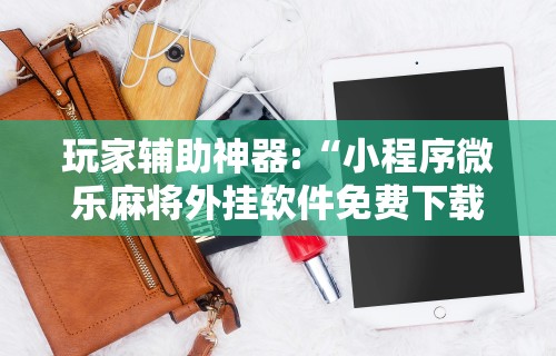 玩家辅助神器:“小程序微乐麻将外挂软件免费下载	”详细分享装挂步骤教程