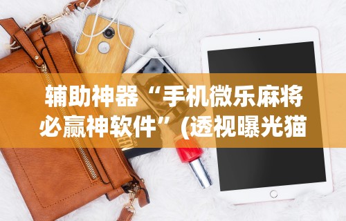 辅助神器“手机微乐麻将必赢神软件	”(透视曝光猫腻)