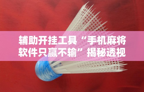 7分钟揭秘"微乐麻将挂是真的吗?	”开挂辅助软件教程