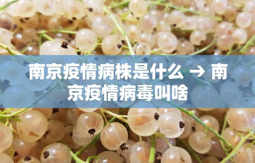 玩家实测“微乐麻将有挂吗是真的吗	”附开挂脚本
