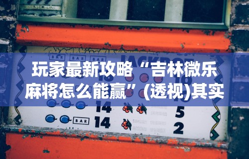 盼盼分享“微乐麻将亲友房怎么提高胜率	”掌握辅助功能必胜规则