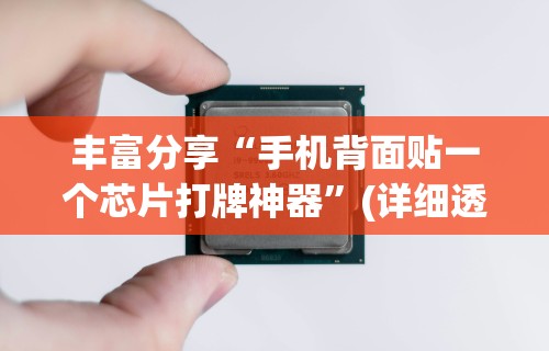 必看教程“随意玩开挂神器”-玩家曝光开挂流程