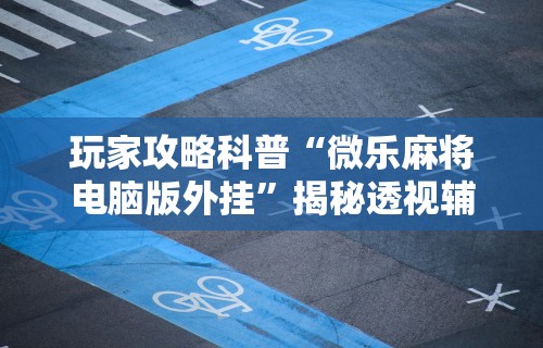 今日必看教程“禅游指尖四川麻将是不是有挂”详细外挂透视辅助软件教程