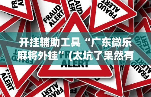 开挂辅助工具“广东微乐麻将外挂	”(太坑了果然有挂)
