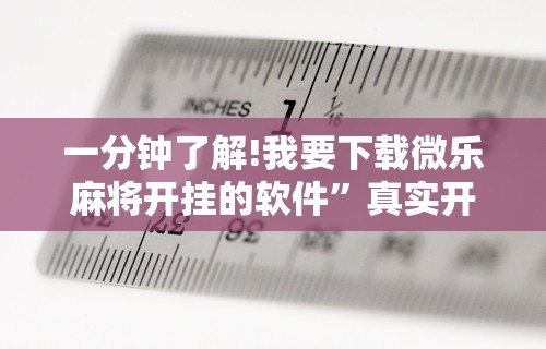 科技媒体实测“熊猫大厅透视软件”(曝光透视必备猫腻)