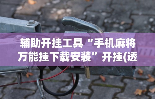 辅助开挂工具“手机麻将万能挂下载安装”开挂(透视)辅助教程
