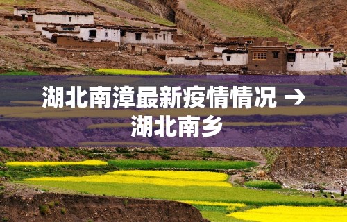 4分钟讲解"微乐麻将系统给牌规律”(曝光透视必备猫腻)