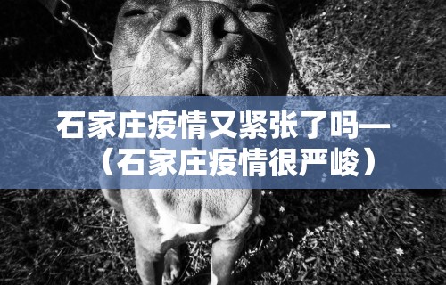 【玩家必看】“边锋辽宁棋牌有挂吗”附开挂脚本详细步骤