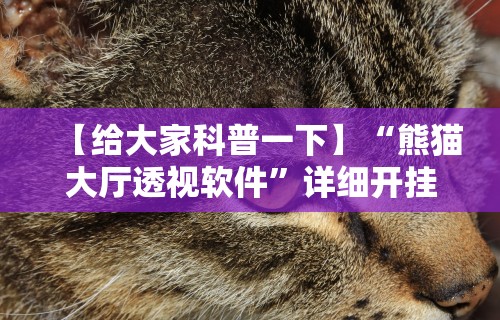【给大家科普一下】“熊猫大厅透视软件	”详细开挂教程