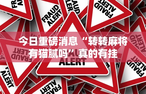 今日重磅消息“转转麻将有猫腻吗”真的有挂