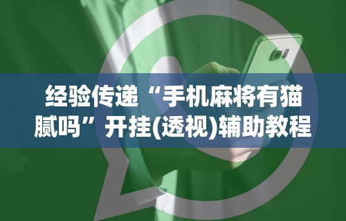 经验传递“手机麻将有猫腻吗”开挂(透视)辅助教程