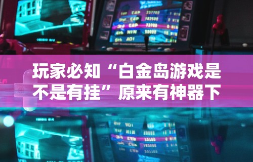 4分钟讲解"白金岛游戏是不是有挂	”(透视)其实真的有挂