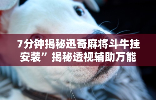 7分钟揭秘迅奇麻将斗牛挂安装”揭秘透视辅助万能挂用法