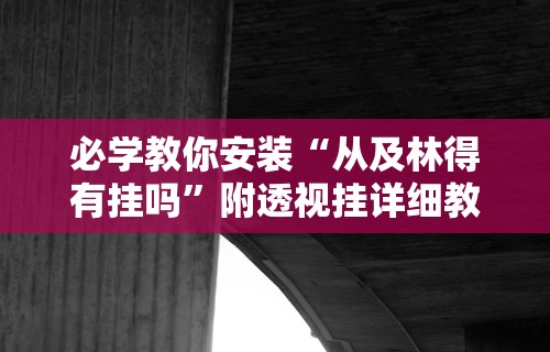 必学教你安装“从及林得有挂吗”附透视挂详细教程 