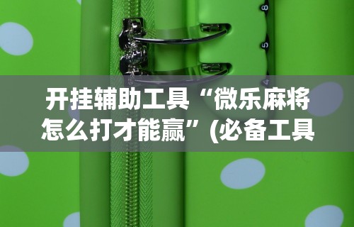 开挂辅助工具“微乐麻将怎么打才能赢”(必备工具)辅助教学