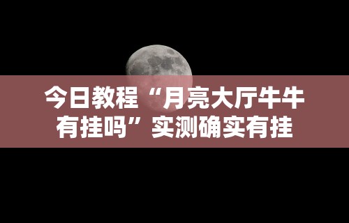 今日教程“月亮大厅牛牛有挂吗”实测确实有挂