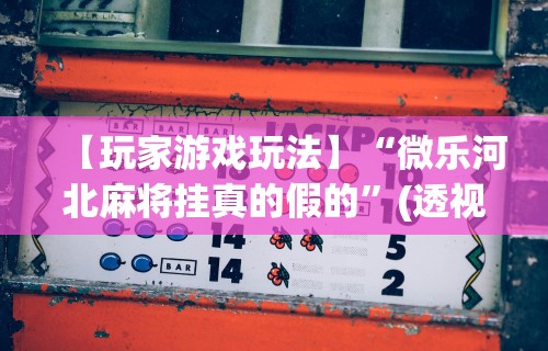 【玩家游戏玩法】“微乐河北麻将挂真的假的”(透视挂)辅助透视教程