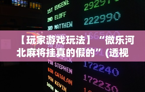 【玩家游戏玩法】“微乐河北麻将挂真的假的	”(透视挂)辅助透视教程