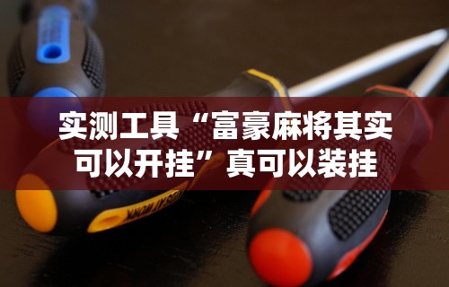 实测工具“富豪麻将其实可以开挂”真可以装挂
