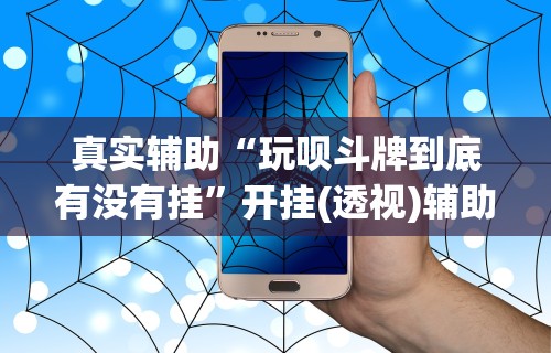 实操教程“微乐山西麻将开挂神器”辅助工具插件,揭秘技巧开挂