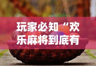 玩家必知“欢乐麻将到底有没有挂”有挂详细开挂教程