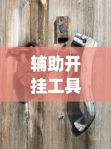 辅助开挂工具“星悦麻将怎么打才能赢”(曝光透视必备猫腻)