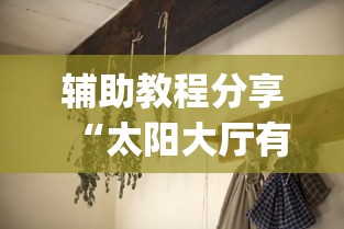 辅助教程分享“太阳大厅有挂吗”(详细透视教程)